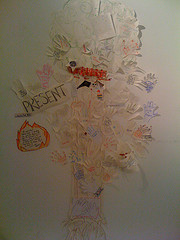 photo7