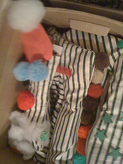 photo8